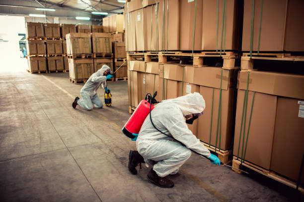 Best Local Pest Control Services  in Keshore, LA