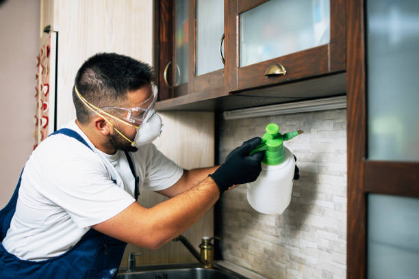 Best Affordable Pest Control Services  in Keshore, LA