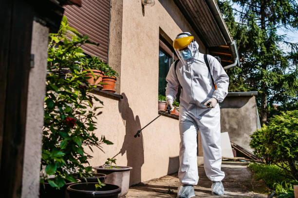 Best Local Pest Control Services  in Keshore, LA