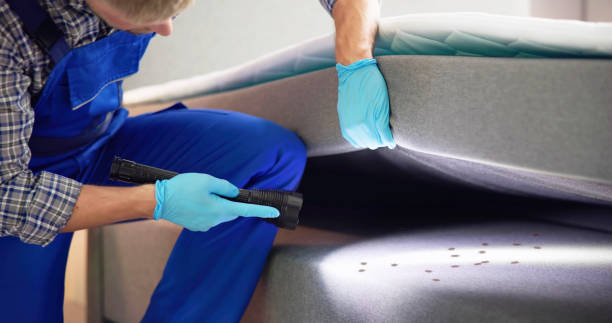 Best Cockroach Control Services  in Keshore, LA