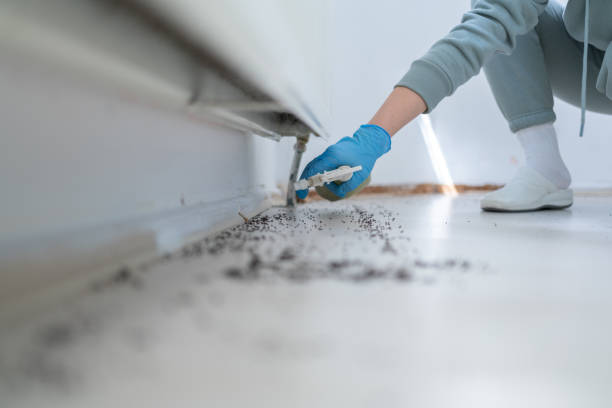 Pest Prevention Services in Lakeshore, LA